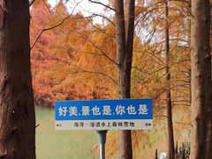 -上海海湾国家森林公园