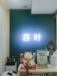 -菩叶脱发白发中心