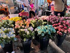 -循礼门鲜花花市(武汉循礼门店)