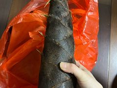 -竹园小居(石塘竹海店)