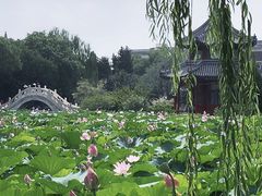 -莲池书院博物馆