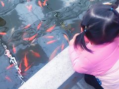 -锦江之星(南京新街口店)