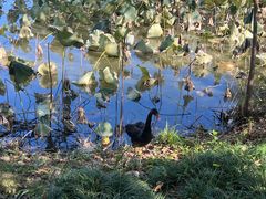 -长兴太湖图影湿地文化园