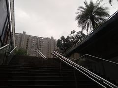 -水岸阳光