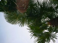 -美兰湖景区