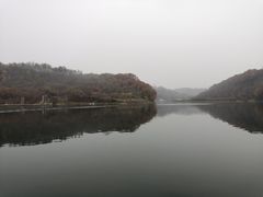 -黄椅山火山森林公园