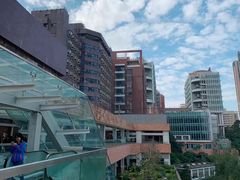 -香港大学