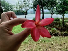 -飞来湖湿地公园