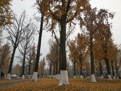 -四川大学(华西校区)