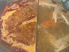 -渝大龙重庆火锅(温泉月亮湾店)