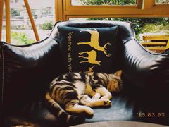 -咖法森林·咖啡  酒吧(天河店)