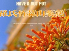 -罗记又添缘竹荪山药鸡·野生菌火锅(西园南路店)