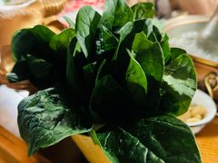 -前门杨记·铜锅涮肉(王府井·故宫店)