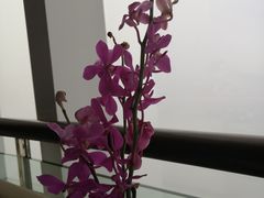 -厚街国际大酒店·360度旋转餐厅
