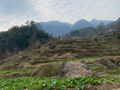 -石台牯牛降景区