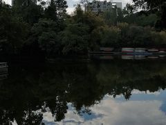 -晓港公园