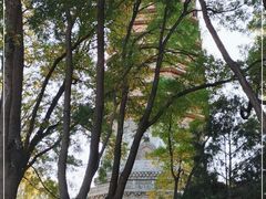 -玲珑塔公园
