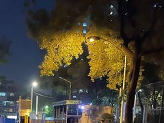 -中南财经政法大学(首义校区)