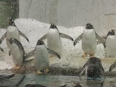 -大连圣亚海洋世界