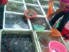 android_upload_pic-板桥海鲜广场11排2号