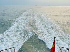 -招商蛇口邮轮母港(观光客运)