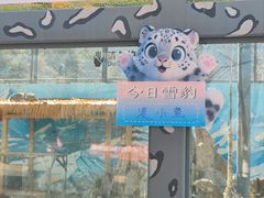-青藏高原野生动物园