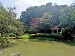 -火炉山森林公园