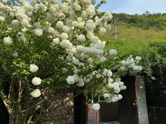 -看见远方·莫干遥远的山民宿