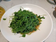 酒香金花菜-玲珑阁昆山菜(锦溪店)
