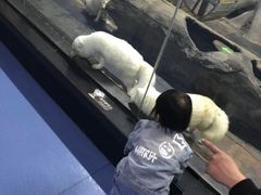 -梦幻海洋王国(吾悦广场张家港店)