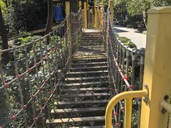 -杭州少年儿童公园