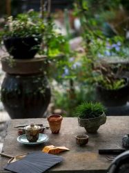 -Oasis Beauty水磨坊科技美肤中心