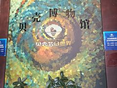 -贝壳梦幻世界