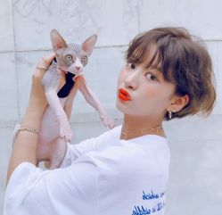 -SY COLOUR专业烫染