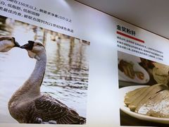 -陆记鹅庄·潮汕菜·狮头鹅(大仟里店)