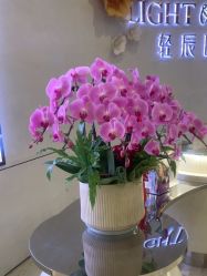 -轻辰医美