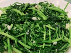茼蒿-旅宁大酒店