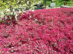 android_upload_pic-新江湾城公园