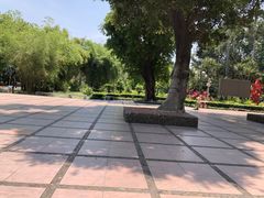 -晓港公园