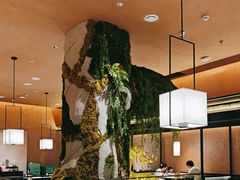 -阿露佳·舌尖上的安吉菜