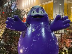 -麦当劳(仙林亚东城得来速店)