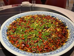 新概念来凤鱼-新概念来凤鱼(璧山店)