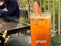 苹果汁-Ginger(兴国路店)