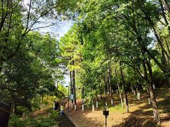 -鸡鸣山旅游景区