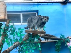 -青藏高原野生动物园