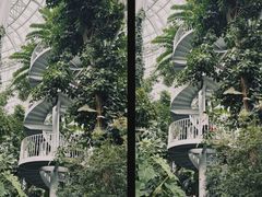 -郑州植物园