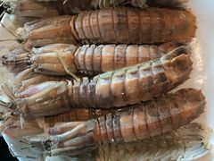 -东莞虎门美思威尔顿酒店