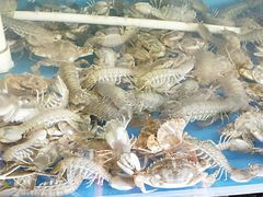 -台州卡金海鲜楼(上南路店)