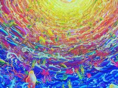-海合安成都极地海洋公园
