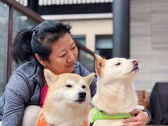 -上海崇明金茂凯悦酒店